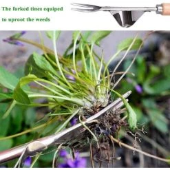 LangRay Désherbeur à Main Outil De Désherbage De Jardin Désherbeur Manuel De 12 Pouces Base De Levier En Acier Inoxydable Antirouille Pour économiser L'effort D'éliminer Les Pissenlits, Les Chardons, La Bardane Et Autres Mauvaises Herbes Envahissantes -Outil pour désherber Soldes 33491477 3