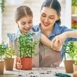 Désherbeur Manuel De Pissenlit Outil De Désherbage Manuel Excavatrice Désherbeur Manuel1 Article Irisfr（vert） -Outil pour désherber Soldes 42848844 4