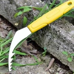 Décapant De Racines Portable Pour Pelouse Extracteur De Mauvaises Herbes En Acier Inoxydable Outil De Jardin Ergonomique Désherbeur De Jardin Manuel Portatif Antidérapant Agréable 20.3cm Fontainebleau Jaune 8 Décapant De Racines Portable Pour Pelouse Extracteur De Mauvaises Herbes En Acier Inoxydable Outil De Jardin Ergonomique Désherbeur De Jardin Manuel Portatif Antidérapant Agréable 20.3cm Fontainebleau Jaune -Outil pour désherber Soldes 45642534 4