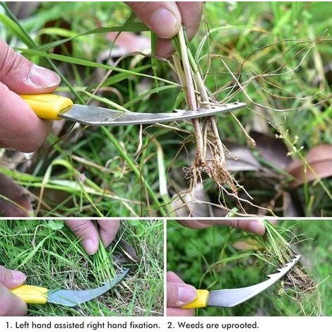 Décapant De Racines Portable Pour Pelouse Extracteur De Mauvaises Herbes En Acier Inoxydable Outil De Jardin Ergonomique Désherbeur De Jardin Manuel Portatif Antidérapant Agréable 20.3cm Fontainebleau Jaune 5 Décapant De Racines Portable Pour Pelouse Extracteur De Mauvaises Herbes En Acier Inoxydable Outil De Jardin Ergonomique Désherbeur De Jardin Manuel Portatif Antidérapant Agréable 20.3cm Fontainebleau Jaune – Image 5