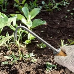 LONGZIMING Outil De Désherbage Outil De Désherbage À Main En Acier Inoxydable Outil De Désherbage Cultivateur Manuel Désherbeur 9 LONGZIMING Outil De Désherbage Outil De Désherbage À Main En Acier Inoxydable Outil De Désherbage Cultivateur Manuel Désherbeur -Outil pour désherber Soldes 48157434 5