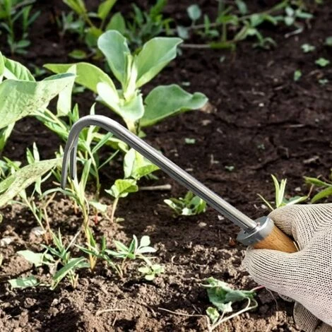 LONGZIMING Outil De Désherbage Outil De Désherbage À Main En Acier Inoxydable Outil De Désherbage Cultivateur Manuel Désherbeur 5 LONGZIMING Outil De Désherbage Outil De Désherbage À Main En Acier Inoxydable Outil De Désherbage Cultivateur Manuel Désherbeur – Image 5