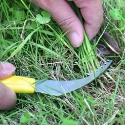 LONGZIMING Désinfilance Manuelle Jardin Root Digger Crack Wederen Gardening Poignée De Poche Outil De Jardin Antidérapante Outil De Désherbage Pour La Désherbage Facile Et L'agriculture -Outil pour désherber Soldes 48157442 5