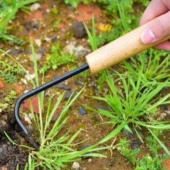 Outil De Désherbage à Main, Ciseau De Désherbage à Manche En Bois En Acier Inoxydable, Machine De Désherbage, Pelle De Désherbage, Machine De Désherbage à Main à Griffe Unique De Jardin Macaron -Outil pour désherber Soldes 50929333 5