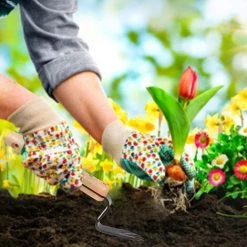 Désherbeur Manuel 2 Pièces, Désherbeur à Fourche D'éradication Manuelle, Outil De Désherbage Avec Poignée Pour L'entretien Du Jardin Macaron 8 Désherbeur Manuel 2 Pièces, Désherbeur à Fourche D'éradication Manuelle, Outil De Désherbage Avec Poignée Pour L'entretien Du Jardin Macaron -Outil pour désherber Soldes 50929336 4