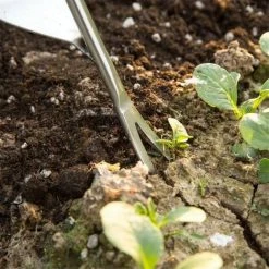 MALLOMNE D��sherbeur Multifonctionnel De Pelouse De Creusement D'acier Inoxydable De Retrait Ext��rieur De Jardin 8 MALLOMNE D��sherbeur Multifonctionnel De Pelouse De Creusement D'acier Inoxydable De Retrait Ext��rieur De Jardin -Outil pour désherber Soldes 51542823 4