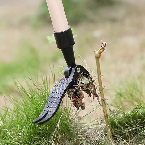 Désherbeur Manuel à 4 Griffes Pour Désherber Le Jardin,Fontainebleau 5 Désherbeur Manuel à 4 Griffes Pour Désherber Le Jardin,Fontainebleau – Image 5