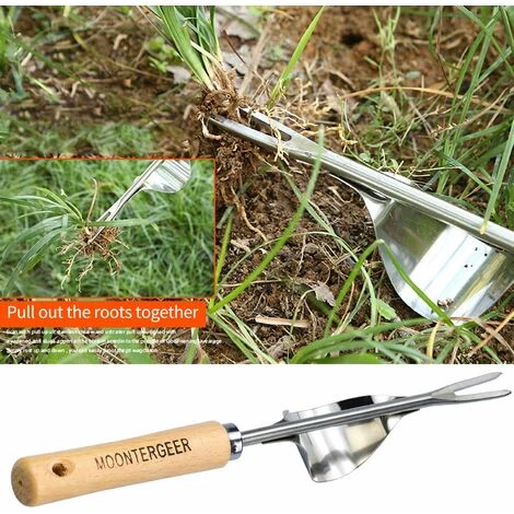 QERSTA 2pcs Désherbeur Manuel En Acier Inoxydable, Outil De Ciseau De Désherbage Avec Manche En Bois, Outils De Jardinage, Désherbeur De Pissenlit En Forme De Y 5 QERSTA 2pcs Désherbeur Manuel En Acier Inoxydable, Outil De Ciseau De Désherbage Avec Manche En Bois, Outils De Jardinage, Désherbeur De Pissenlit En Forme De Y – Image 5