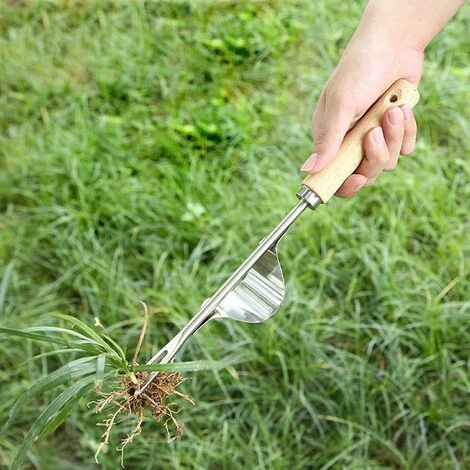 MONLY 2pcs Désherbeur Manuel En Acier Inoxydable, Outil De Ciseau De Désherbage Avec Manche En Bois, Outils De Jardinage, Désherbeur De Pissenlit En Forme De Y 4 MONLY 2pcs Désherbeur Manuel En Acier Inoxydable, Outil De Ciseau De Désherbage Avec Manche En Bois, Outils De Jardinage, Désherbeur De Pissenlit En Forme De Y – Image 4