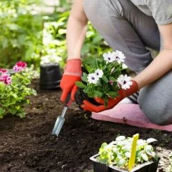 JARDIBRICODECO Désherbeur Manuel Jardin -Outil pour désherber Soldes 55315895 5