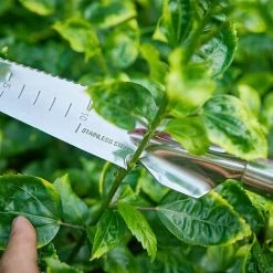 VERSAILLESFR Outil Gouge De Désherbage En Acier Inoxydable Avec Poignée En Bois, 33.5cmx3cm Désherbeur Manuel Pour Jardin Désherbage,Versailles 9 VERSAILLESFR Outil Gouge De Désherbage En Acier Inoxydable Avec Poignée En Bois, 33.5cmx3cm Désherbeur Manuel Pour Jardin Désherbage,Versailles -Outil pour désherber Soldes 55453515 5