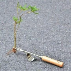 DENUOTOP Désherbeur Manuel Désherbeur À Main En Acier Inoxydable, Manuelle Racine Fourche De Désherbage Poignée En Bois Outil De Désherbage En Forme De Y Extracteur De Mauvaises Herbes Remover Outils De Creusage 1pcs