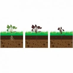 Désherbeur électrique DT 2000 FARTOOLS 7 Désherbeur électrique DT 2000 FARTOOLS -Outil pour désherber Soldes 57814552 4