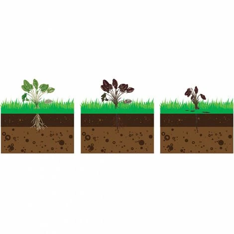 Désherbeur électrique DT 2000 FARTOOLS 4 Désherbeur électrique DT 2000 FARTOOLS – Image 4