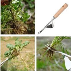 AOUGO 2 PCS Manche En Bois Extracteur De Mauvaises Herbes Extracteur De Mauvaises Herbes De Jardin Avec Manche En Bois Extracteur De Mauvaises Herbes Manuel Manche En Bois Extracteur De Mauvaises Herbes Pour Désherbage Rapide -Outil pour désherber Soldes 58574246 4