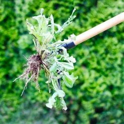 AOUGO Weed Den Stand Up Weed Extracteur Outil Griffe Désherbeur Racine Pour Enlever AuuEn Killer Outil Avec Pédale Fuu 9 AOUGO Weed Den Stand Up Weed Extracteur Outil Griffe Désherbeur Racine Pour Enlever AuuEn Killer Outil Avec Pédale Fuu -Outil pour désherber Soldes 58574308 5