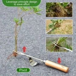 AOUGO Outil De Désherbage Manuel, Outil De Désherbage Portatif 2 Pièces Pour Pissenlit, Extracteur De Mauvaises Herbes De Jardin Avec Poignée Antidérapante -Outil pour désherber Soldes 58576097 4