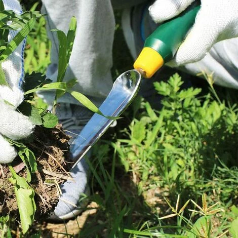 ENLENK Outil De Désherbage Manuel En Acier Inoxydable Pour Désherbage Et Jardinage 4 ENLENK Outil De Désherbage Manuel En Acier Inoxydable Pour Désherbage Et Jardinage – Image 4