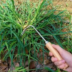 MACARON Désherbeur Manuel, Manuelle Racine En Acier Inoxydable Outil De Désherbage Extracteur De Mauvaises Herbes Garden Hand Weeder Avec Poignée Bois Pour Le Désherbage Rapide Des Sols Et Des Jardins LO-Ron -Outil pour désherber Soldes 59206706 5