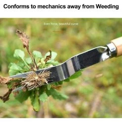 GALOZZOIT Désherbeur Manuel Outil Gouge De Désherbage En Acier Inoxydable Avec Poignée Bois Outil De Désherbage Du Jardin, Désherbeur Garden Pratique Outil (A) -Outil pour désherber Soldes 60000461 3
