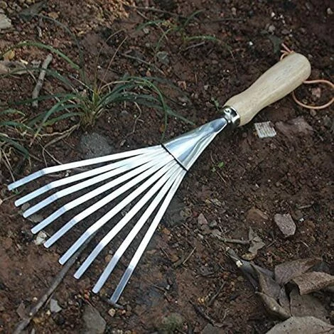AOUGO Extracte Grass Rake Harrow ,Gardening Flower Shovel, Rake Weeding Gardening Loose Soil Lawn Seeds Bonsai Tools 2 AOUGO Extracte Grass Rake Harrow ,Gardening Flower Shovel, Rake Weeding Gardening Loose Soil Lawn Seeds Bonsai Tools – Image 2