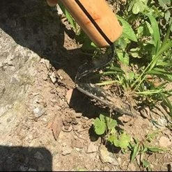 AOUGO Hand Wederer Tool， Jardin Outils Weeding Avec ，poignée En Bois Outil D'extraction De La Main For Le Jardin Attentionné For éliminer Les Pissenlits -Outil pour désherber Soldes 60282116 4