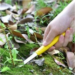AOUGO Mini Inoxydable Weeder Grass Fork Hand Tool ,Weeding Seedling Transplant Figging Gardening Vegetable Gardening -Outil pour désherber Soldes 60282174 5