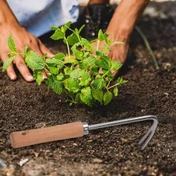 IRISFR Désherbeur Manuel - Couteaux à Désherber En Forme De V Avec Poignée Pour Creuser En Profondeur,Nouvel Outil De Désherbage Manuel En Acier Inoxydable Pour Les Terres Agricoles De Pelouse De,une Pièce,Lilaris 8 IRISFR Désherbeur Manuel - Couteaux à Désherber En Forme De V Avec Poignée Pour Creuser En Profondeur,Nouvel Outil De Désherbage Manuel En Acier Inoxydable Pour Les Terres Agricoles De Pelouse De,une Pièce,Lilaris -Outil pour désherber Soldes 60692511 4