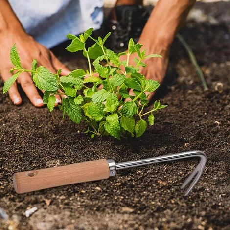 IRISFR Désherbeur Manuel - Couteaux à Désherber En Forme De V Avec Poignée Pour Creuser En Profondeur,Nouvel Outil De Désherbage Manuel En Acier Inoxydable Pour Les Terres Agricoles De Pelouse De,une Pièce,Lilaris 4 IRISFR Désherbeur Manuel - Couteaux à Désherber En Forme De V Avec Poignée Pour Creuser En Profondeur,Nouvel Outil De Désherbage Manuel En Acier Inoxydable Pour Les Terres Agricoles De Pelouse De,une Pièce,Lilaris – Image 4