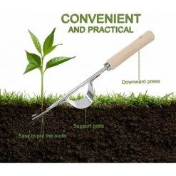 SINCèREETALI Désherbeur En Acier Inoxydable Désherbeur Manuel Extracteur De Racines En Acier Inoxydable Désherbeur Fourche De Jardinage Avec Manche En Bois Naturel Pour Creuser Désherbage Desserrer 32 Cm De Long 1pc -Outil pour désherber Soldes 63818783 5
