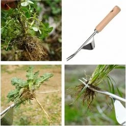 SINCèREETALI 2 PCS Manche En Bois Extracteur De Mauvaises Herbes Extracteur De Mauvaises Herbes De Jardin Avec Manche En Bois Extracteur De Mauvaises Herbes Manuel Manche En Bois Extracteur De Mauvaises Herbes Pour Désherbage Rapide -Outil pour désherber Soldes 63820860 4