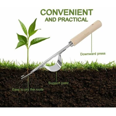 CLEGGFR Désherbeur Manuel Garden Outil De Désherbage En Acier Inoxydable Avec Poignée Bois Outil De Jardinage Pour Désherber Votre Jardin 32cm De Long 1 Pièce 5 CLEGGFR Désherbeur Manuel Garden Outil De Désherbage En Acier Inoxydable Avec Poignée Bois Outil De Jardinage Pour Désherber Votre Jardin 32cm De Long 1 Pièce – Image 5