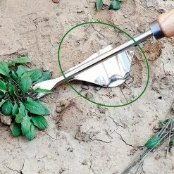 GroupM Désherbeur à Bosse En Acier Inoxydable Outil De Désherbage Fourche De Semis Semis Repiquage Pelle De Repiquage De Semis -Outil pour désherber Soldes 63890337 5