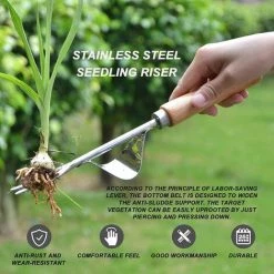 MEZHENG Désherbeur Manuel En Acier Inoxydable, 2Pièces Désherbeur à Main Jardin Désherbage En Forme De Y Extracteur Avec Manche En Bois, Pour Désherbage Repiquage Plantation Outil De Fourche Jardinage 8 MEZHENG Désherbeur Manuel En Acier Inoxydable, 2Pièces Désherbeur à Main Jardin Désherbage En Forme De Y Extracteur Avec Manche En Bois, Pour Désherbage Repiquage Plantation Outil De Fourche Jardinage -Outil pour désherber Soldes 63893365 4