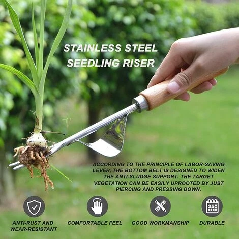 MEZHENG Désherbeur Manuel En Acier Inoxydable, 2Pièces Désherbeur à Main Jardin Désherbage En Forme De Y Extracteur Avec Manche En Bois, Pour Désherbage Repiquage Plantation Outil De Fourche Jardinage 4 MEZHENG Désherbeur Manuel En Acier Inoxydable, 2Pièces Désherbeur à Main Jardin Désherbage En Forme De Y Extracteur Avec Manche En Bois, Pour Désherbage Repiquage Plantation Outil De Fourche Jardinage – Image 4