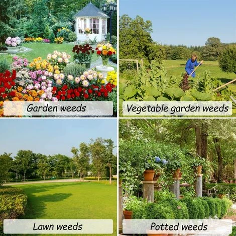 BARES Couteau Desherbeur Manuel De Jardin, Outillage Griffe Arrache Mauvaises Herbes De Jardinage, Outil à Main à Désherbeur Avec 4 Griffes, Extracteur De Mauvaises Herbes Pour Pissenlit 4 BARES Couteau Desherbeur Manuel De Jardin, Outillage Griffe Arrache Mauvaises Herbes De Jardinage, Outil à Main à Désherbeur Avec 4 Griffes, Extracteur De Mauvaises Herbes Pour Pissenlit – Image 4