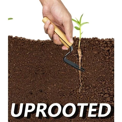 HAZEL Manuel Root Lifter Désherbeur Désherbeurs Jardin Pelouse Terres Agricoles Transplantation Jardinage Bonsa? Outils 3 HAZEL Manuel Root Lifter Désherbeur Désherbeurs Jardin Pelouse Terres Agricoles Transplantation Jardinage Bonsa? Outils – Image 3