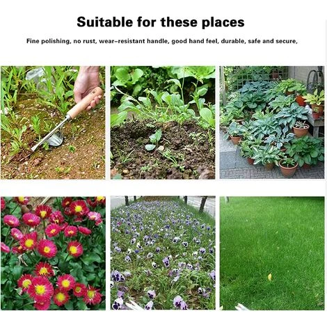 BF Désherbeur Manuel De Jardin Outils De Jardinage Désherbage Facile En Acier Inoxydable Poignée Confortable De Qualité Supérieure Greffe De Jardin De Pelouse 5 BF Désherbeur Manuel De Jardin Outils De Jardinage Désherbage Facile En Acier Inoxydable Poignée Confortable De Qualité Supérieure Greffe De Jardin De Pelouse – Image 5
