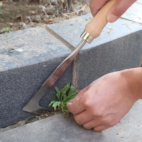 BF Désherbeur Tondeuse Manuel Semis Désherbeur Jardin Pierre Couture Désherbage 3 BF Désherbeur Tondeuse Manuel Semis Désherbeur Jardin Pierre Couture Désherbage – Image 3