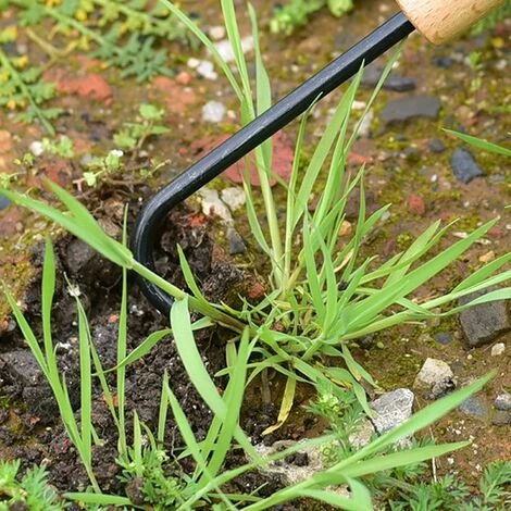 BF Grattoir De Mauvaises Herbes Avec Poignée Désherbeur De Machine De Désherbage Avec Arbre Pour Les Mauvaises Herbes De Cultivateur De Tranchée De Jardin Extérieur à La Maison 3 BF Grattoir De Mauvaises Herbes Avec Poignée Désherbeur De Machine De Désherbage Avec Arbre Pour Les Mauvaises Herbes De Cultivateur De Tranchée De Jardin Extérieur à La Maison – Image 3