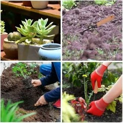 BF Grattoir De Mauvaises Herbes Avec Poignée Désherbeur De Machine De Désherbage Avec Arbre Pour Les Mauvaises Herbes De Cultivateur De Tranchée De Jardin Extérieur à La Maison 9 BF Grattoir De Mauvaises Herbes Avec Poignée Désherbeur De Machine De Désherbage Avec Arbre Pour Les Mauvaises Herbes De Cultivateur De Tranchée De Jardin Extérieur à La Maison -Outil pour désherber Soldes 64357031 5