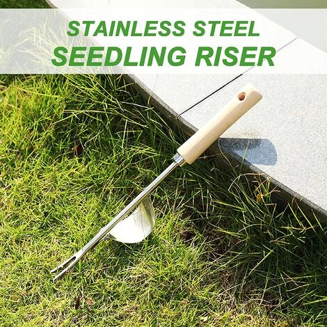 Désherbeur Manuel En Acier Inoxydable, 2Pièces Désherbeur à Main Jardin Désherbage En Forme De Y Extracteur Avec Manche En Bois, Pour Désherbage Repiquage Plantation Outil De Fourche Jardinage 56Vingt 2 Désherbeur Manuel En Acier Inoxydable, 2Pièces Désherbeur à Main Jardin Désherbage En Forme De Y Extracteur Avec Manche En Bois, Pour Désherbage Repiquage Plantation Outil De Fourche Jardinage 56Vingt – Image 2