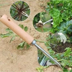 LTS FAFA Outil De Jardin Désherbeur Manuel En Acier Inoxydable Avec Manche En Bois Naturel Pour Creuser Le Désherbeur Marguerite Cultivateur Désherber La Pelle De Repiquage, Désherbeur Simple Portable. -Outil pour désherber Soldes 65042643 3