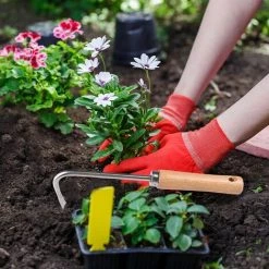 ECHOO Désherbeur à Main Manuel - Outils à Main De Jardinage à Dents, Pour Une élimination Super Facile Des Mauvaises Herbes Et Un Creusement Plus Profond (avec Manche En Bois) 9 ECHOO Désherbeur à Main Manuel - Outils à Main De Jardinage à Dents, Pour Une élimination Super Facile Des Mauvaises Herbes Et Un Creusement Plus Profond (avec Manche En Bois) -Outil pour désherber Soldes 65638750 5