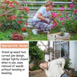 YIENJAOY Outils Couteau Desherbeur Manuel De Jardin, Outillage Griffe Arrache Mauvaises Herbes De Jardinage, Outil à Main à Désherbeur Avec 4 Griffes, Extracteur De Mauvaises Herbes Pour Pissenlit 8 YIENJAOY Outils Couteau Desherbeur Manuel De Jardin, Outillage Griffe Arrache Mauvaises Herbes De Jardinage, Outil à Main à Désherbeur Avec 4 Griffes, Extracteur De Mauvaises Herbes Pour Pissenlit -Outil pour désherber Soldes 65808467 4