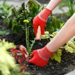 Ensoleillé Désherbeur Manuel Outil Gouge De Désherbage En Acier Carbone Avec Poignée Bois Pour Le Désherbage Rapide Des Sols Et Des Jardins Manuelle Désherbage Fourche -Outil pour désherber Soldes 65823045 3