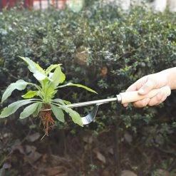KAEJYIUT Désherbeur Manuel Garden Outil De Désherbage En Acier Inoxydable Avec Poignée Bois Outil De Jardinage Pour Désherber Votre Jardin 32Cm De Long 1 Pièce -Outil pour désherber Soldes 65875105 4