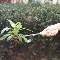 OSQI Désherbeur Manuel Garden Outil De Désherbage En Acier Inoxydable Avec Poignée Bois Outil De Jardinage Pour Désherber Votre Jardin 32cm De Long 1 Pièce 8 OSQI Désherbeur Manuel Garden Outil De Désherbage En Acier Inoxydable Avec Poignée Bois Outil De Jardinage Pour Désherber Votre Jardin 32cm De Long 1 Pièce -Outil pour désherber Soldes 65989381 4