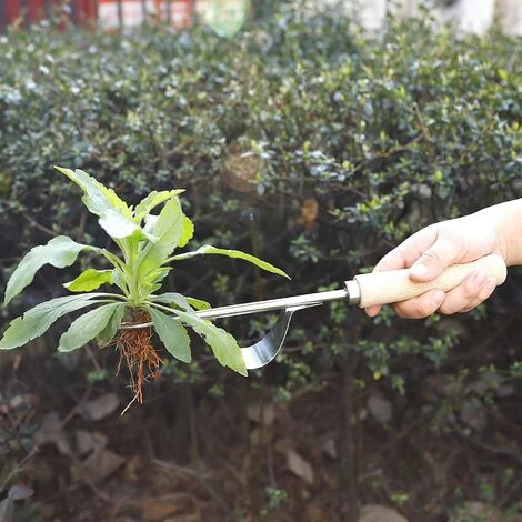 OSQI Désherbeur Manuel Garden Outil De Désherbage En Acier Inoxydable Avec Poignée Bois Outil De Jardinage Pour Désherber Votre Jardin 32cm De Long 1 Pièce 4 OSQI Désherbeur Manuel Garden Outil De Désherbage En Acier Inoxydable Avec Poignée Bois Outil De Jardinage Pour Désherber Votre Jardin 32cm De Long 1 Pièce – Image 4