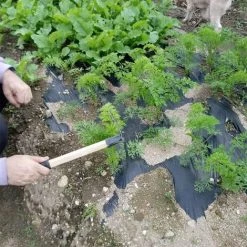 PESCE Mini Houe De Jardin à Main Outil De Désherbage à Double Tête – Houe En Acier Au Carbone/cultivateur à Dents 3 Dents Combo Outils De Jardin Avec Manche En Bois (3 Dents) 9 PESCE Mini Houe De Jardin à Main Outil De Désherbage à Double Tête – Houe En Acier Au Carbone/cultivateur à Dents 3 Dents Combo Outils De Jardin Avec Manche En Bois (3 Dents) -Outil pour désherber Soldes 66264072 5